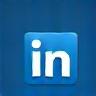 LinkedIn Icon